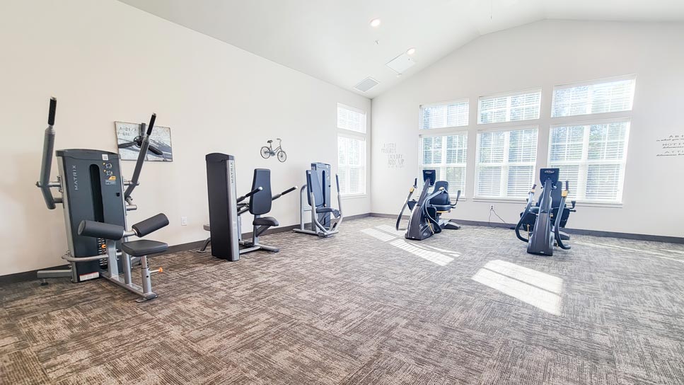 A gym with workout equipment, including multiple exercise machines arranged on a carpeted floor. Sunlight streams in through large windows on the right, brightening the spacious room. White walls are adorned with minimalistic decor.