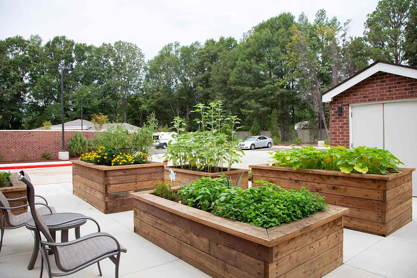 A garden scene with three large wooden raised beds filled with a variety of plants and vegetables. Several empty chairs are arranged on the concrete patio. A red brick structure and a parking area are in the background, bordered by trees.