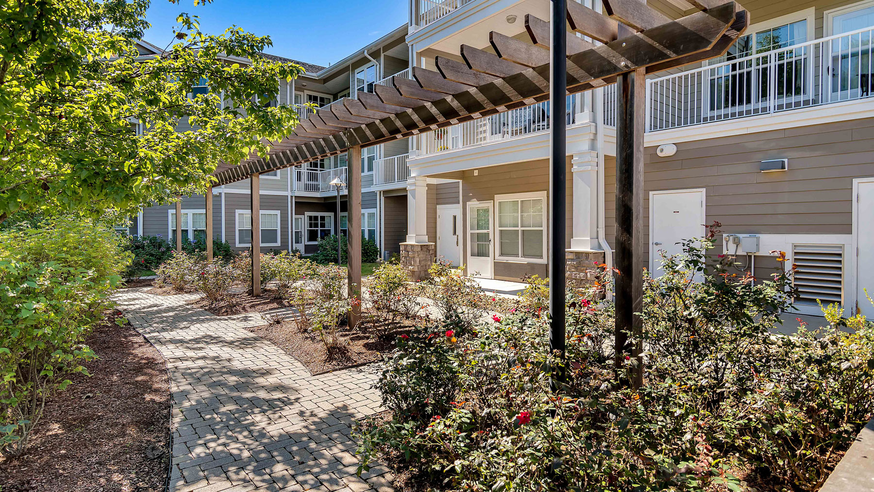A paved walkway with a wooden pergola leads through landscaped gardens in front of a modern apartment building with balconies and large windows on a sunny day.