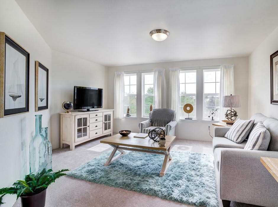 A cozy living room with light beige walls and carpet, featuring a gray sofa, a matching armchair, and a wooden coffee table on a blue shag rug. The room has a TV on a wooden cabinet, nautical-themed decor, and large windows with white curtains letting in bright natural light.