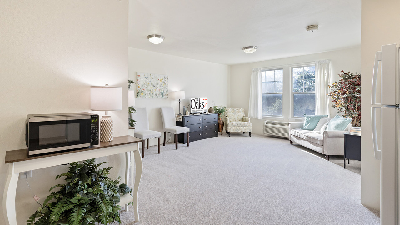 A bright, spacious living room with light walls and carpet, a sofa, armchair, TV, and dresser. A microwave sits on a small table with plants underneath, and large windows let in natural light.