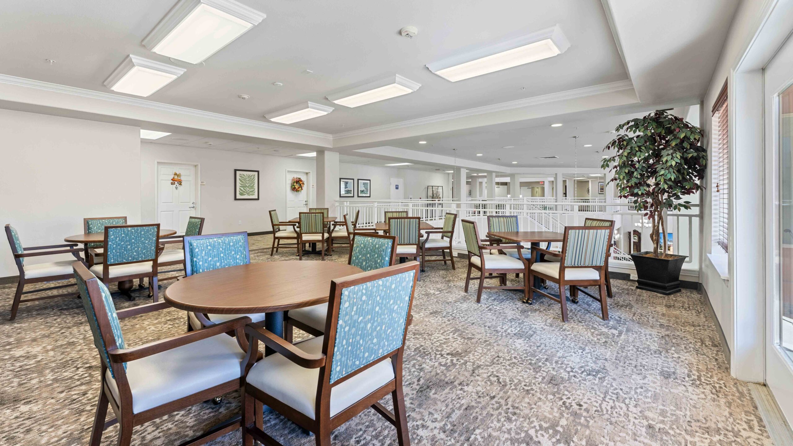 A spacious, well-lit room with round wooden tables and cushioned chairs, beige carpet, large windows, ceiling lights, and a potted plant in the corner, creating a welcoming communal dining or lounge area.