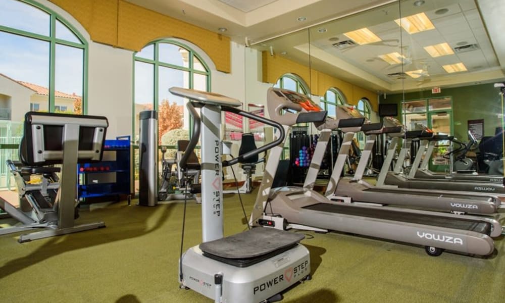 A bright gym features several treadmills positioned against windows with a view outside. In the foreground, there's a Power Plate machine. A few other exercise machines are placed near the walls, and large mirrors cover one side of the room. The space is well-lit.