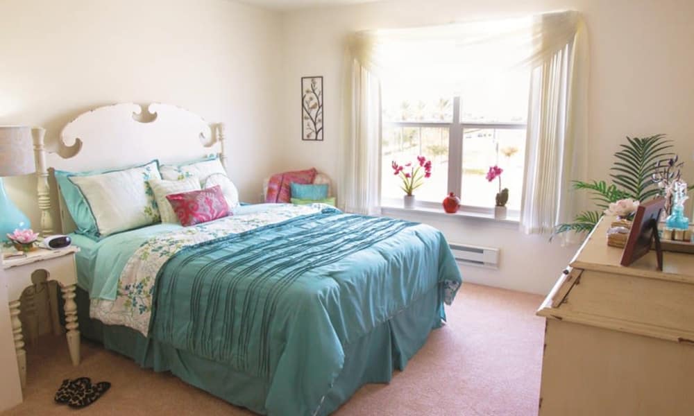 A bright bedroom with a teal bedspread, assorted pillows, and a white headboard. The room features a large window with sheer curtains, a bedside table with a lamp, and a dresser with decorative items. A floral painting hangs on the wall, and flowers adorn the windowsill.