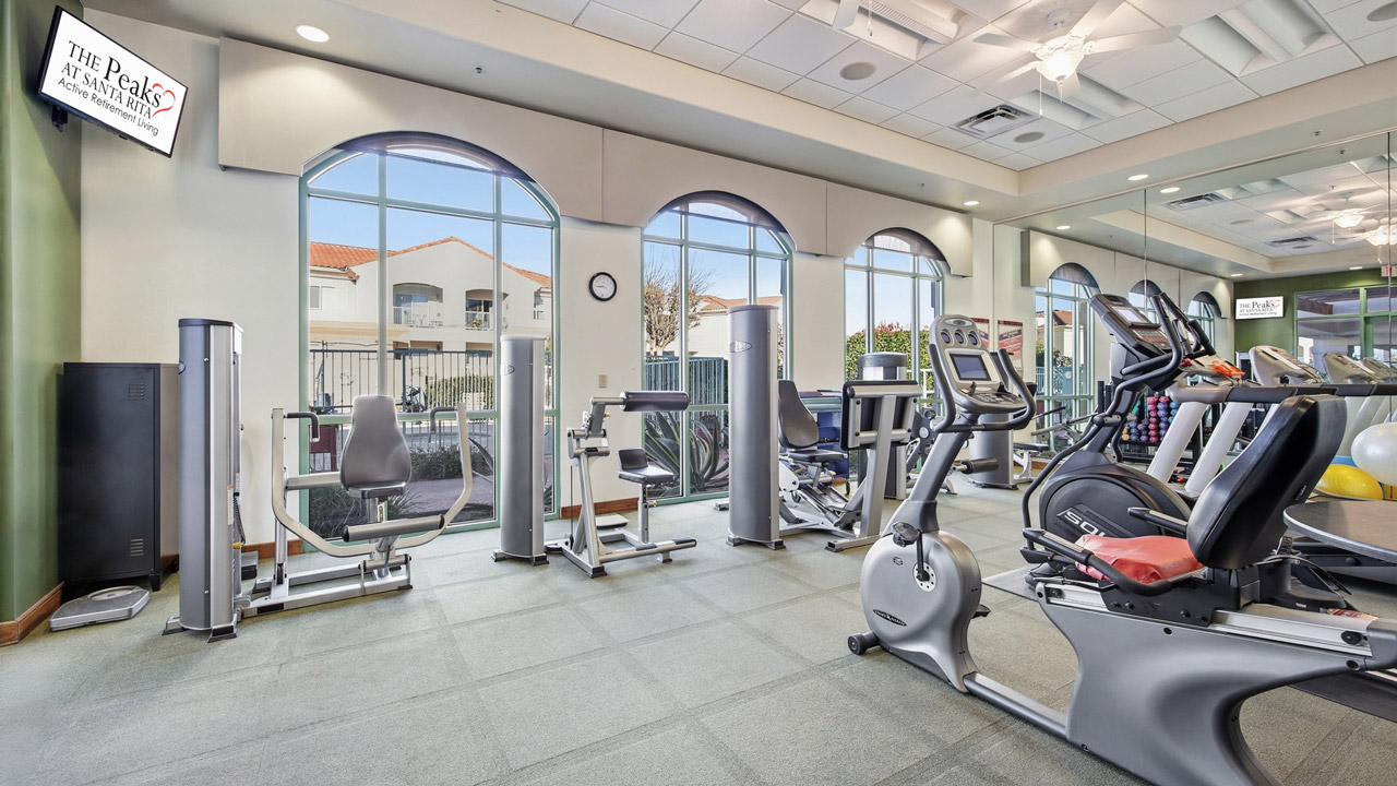 A modern gym with large windows, cardio machines, and strength equipment. Sunlight streams in, reflecting off mirrors, and outdoor buildings are visible through the arched windows.