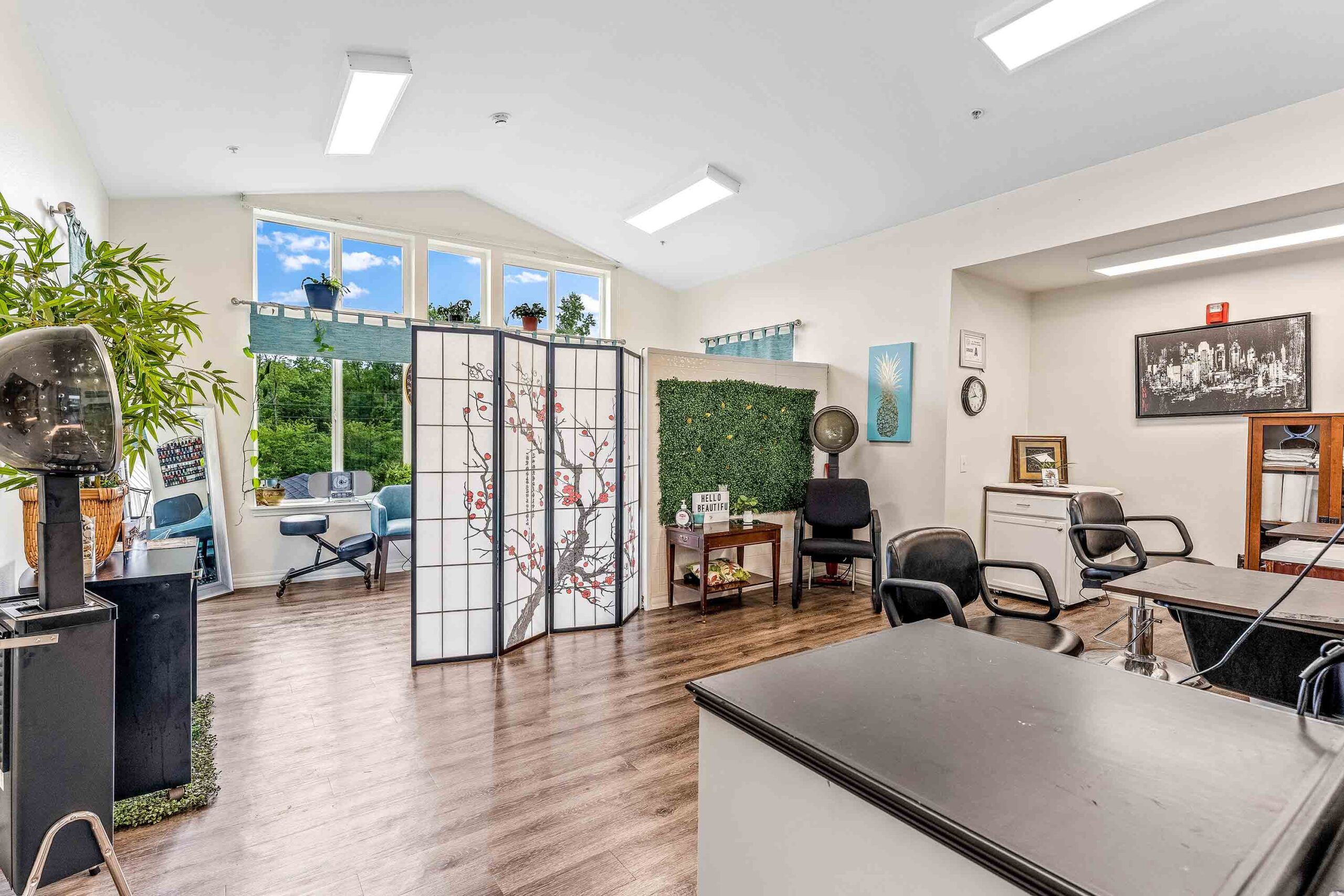 A bright, spacious office with large windows, letting in natural sunlight. It features a room divider with a cherry blossom design, multiple desks, chairs, and plants. The office has wooden flooring, white walls, and various decor items creating a modern, inviting workspace.