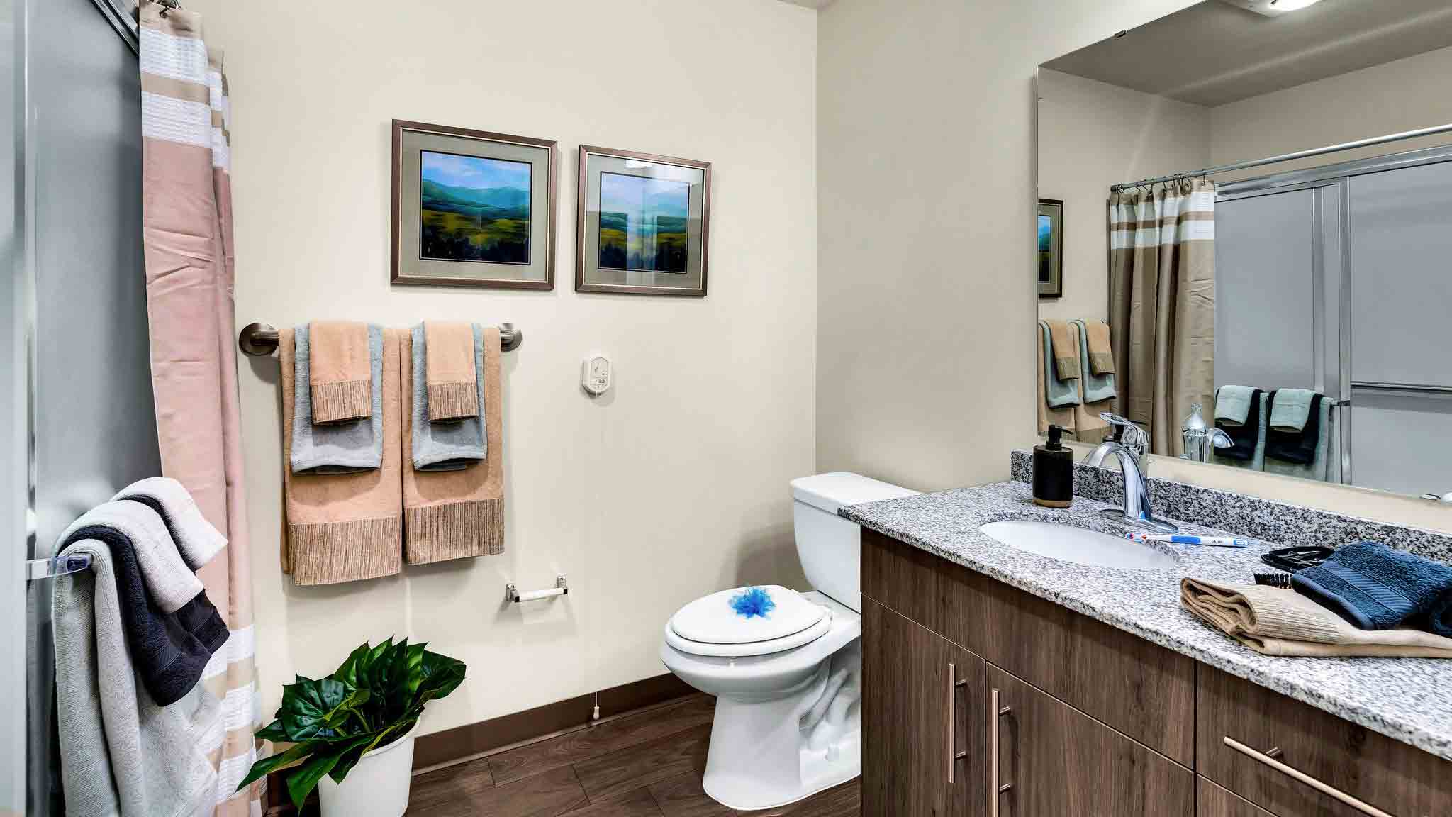 Modern bathroom with a granite countertop, wooden cabinets, a toilet, two towel racks with neatly folded towels, framed wall art, a potted plant, and a large mirror above the sink.