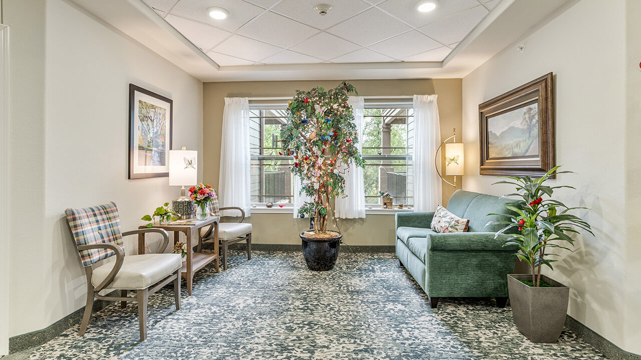 A cozy sitting area with a green sofa, two chairs, a coffee table with flowers, a large potted tree, framed artwork, and a window with sheer white curtains letting in natural light.