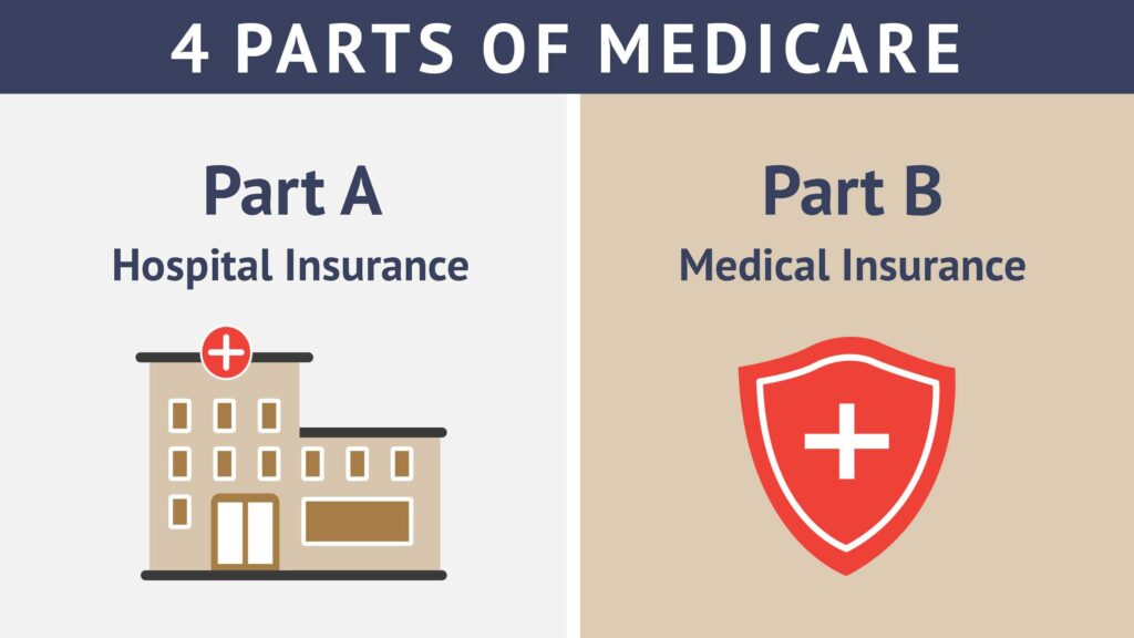 4 points of medicare infographic