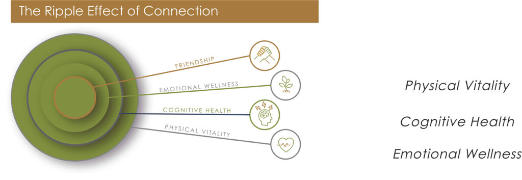 A diagram titled "The Ripple Effect of Connection" shows concentric circles representing friendship, emotional wellness, cognitive health, and physical vitality, with matching icons and labels extending from each circle.
